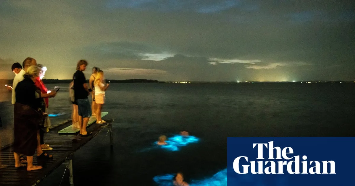 Bioluminescent Algae Glow In 3D Printed Shapes