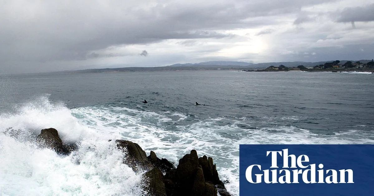 Body of Triathlete Found After California Shark Attack