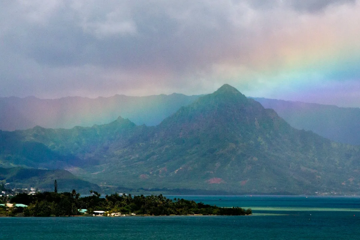 Hawaii Tourists Warned Over Brain Parasite Linked to Raw Food