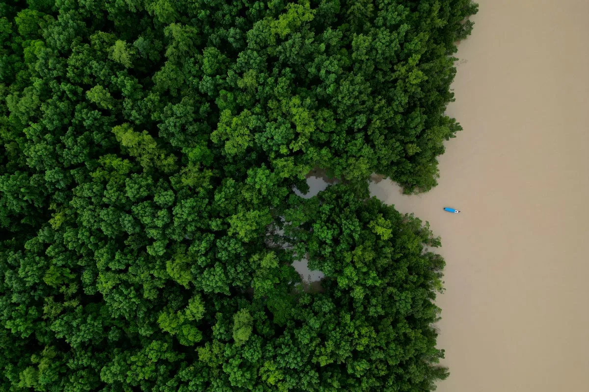 Brazil Commits $617.5M to Amazon Ecological Investment