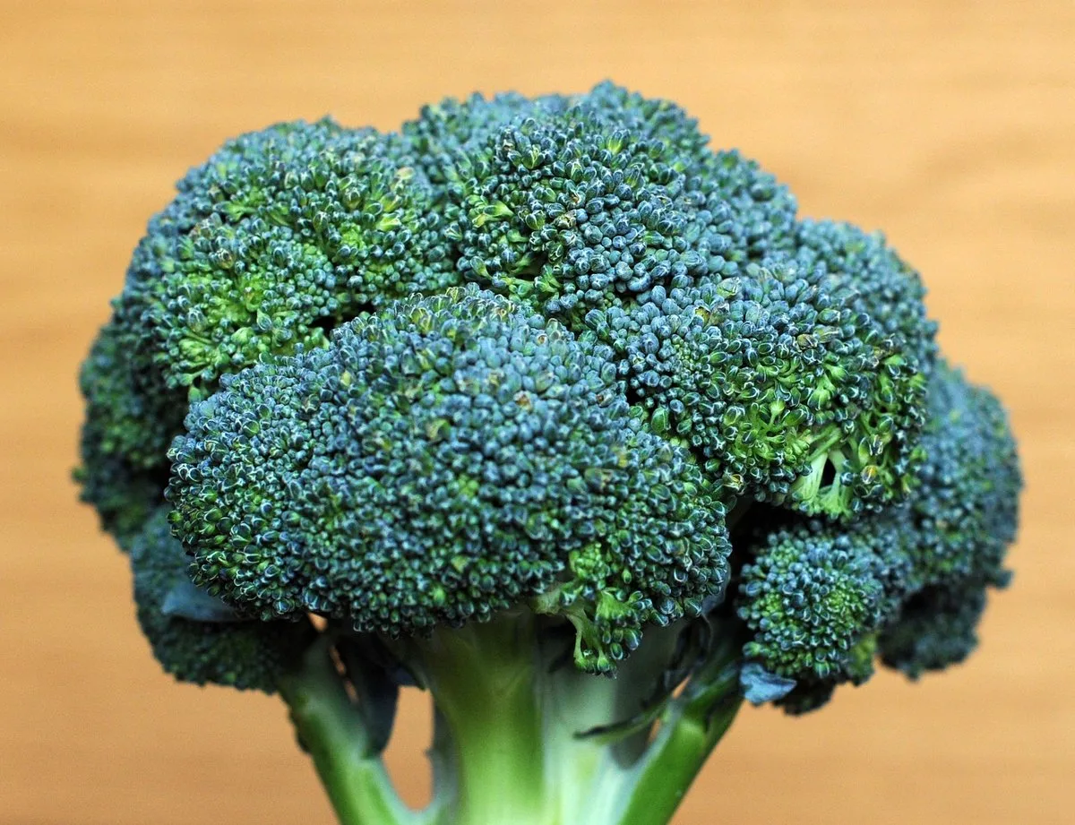 Man Dies After Eating Broccoli Sandwich in Italy's Botulism Outbreak