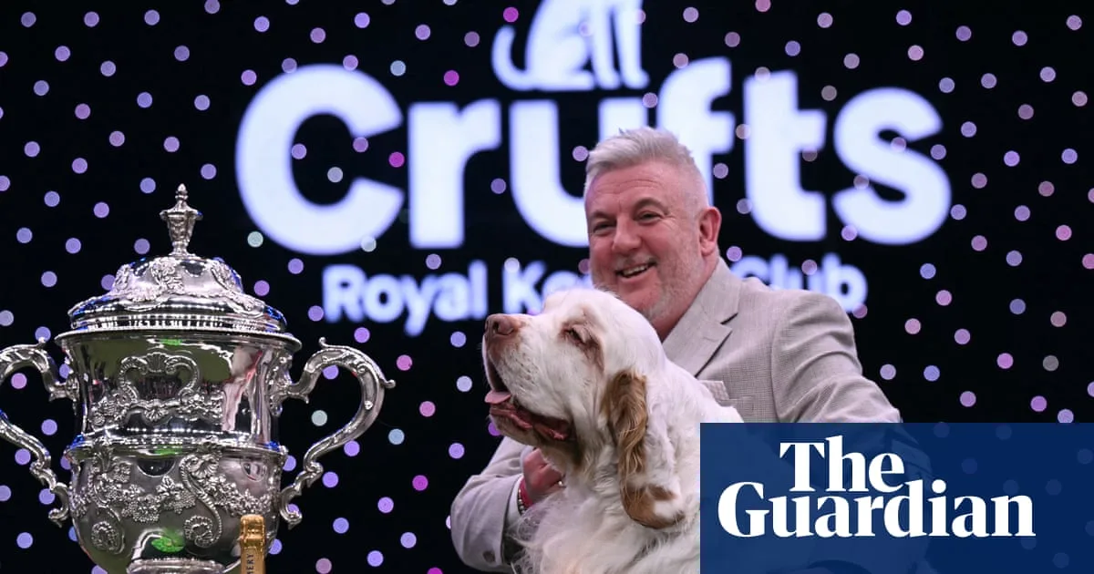 Bruin The Clumber Spaniel Wins Best In Show At Crufts 2026