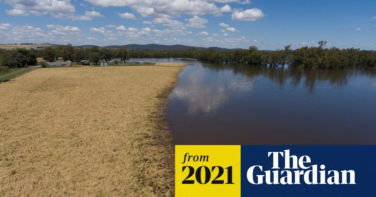 Billions at Risk as Wet Weather Wreaks Havoc on Australian Crops