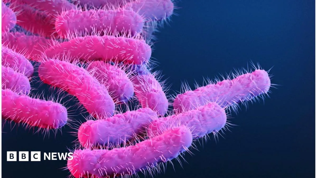 CDC Warns of Rise in Drug-Resistant Shigella Infections in US