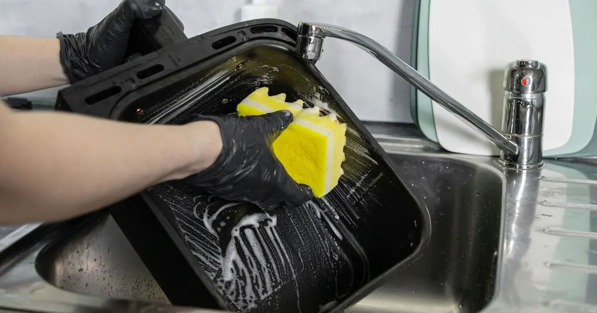 Sprinkle Baking Soda on Air Fryer Basket for Effortless Deep Clean