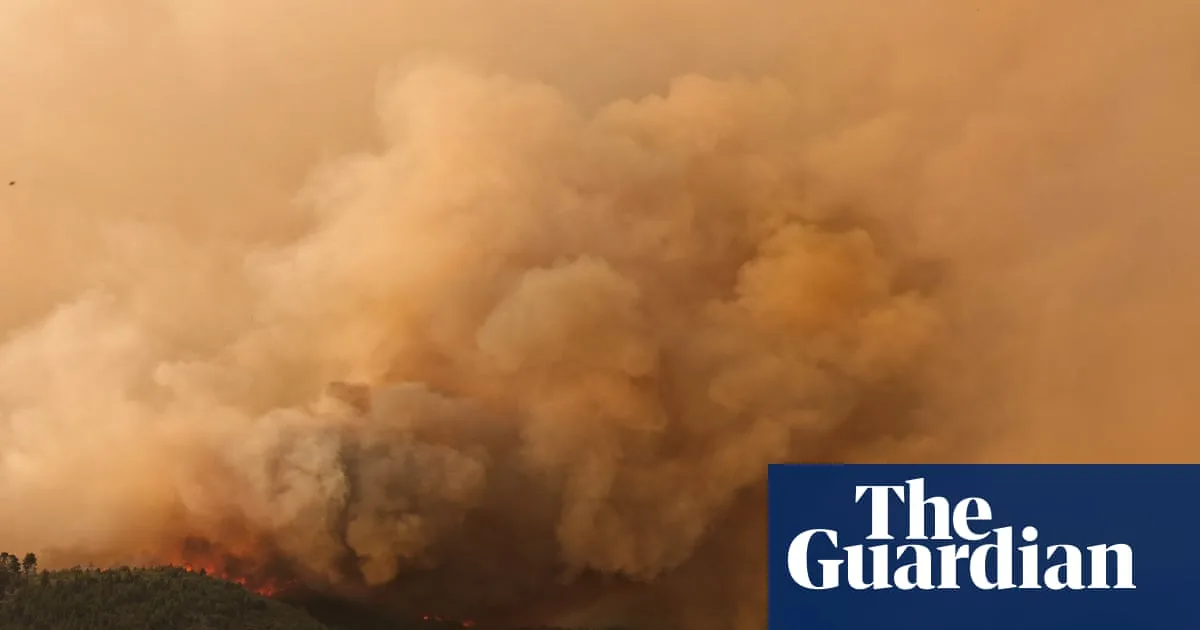 Climate change tripled wildfire risk in Chile and Argentina, study finds
