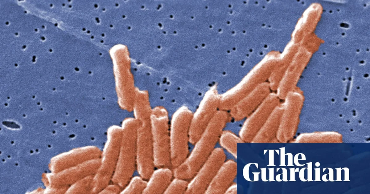 Climate Crisis Accelerates Antibiotic Resistance, Study Finds