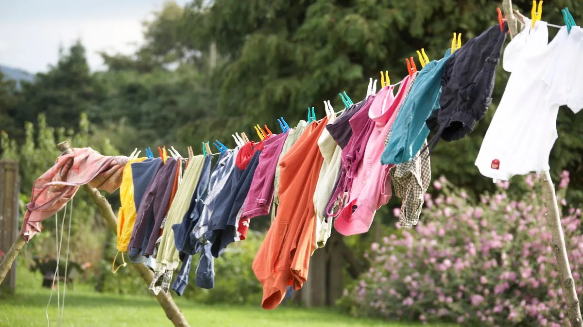 Common Laundry Mistake Leaves Clothes Smelling Stale After Wash