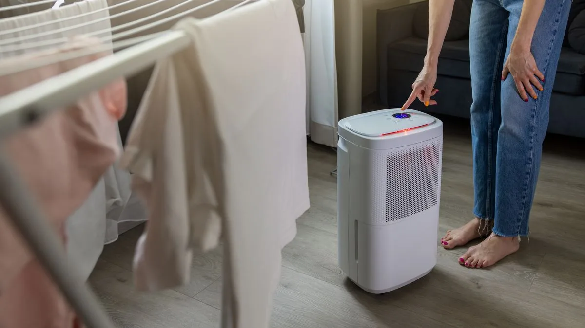 Dehumidifier Warning: The 20cm Rule That Could Save Your Home