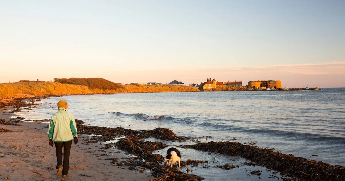 Beadnell: Northumberland's 'Magical' Coastal Village with Stunning Year-Round Views