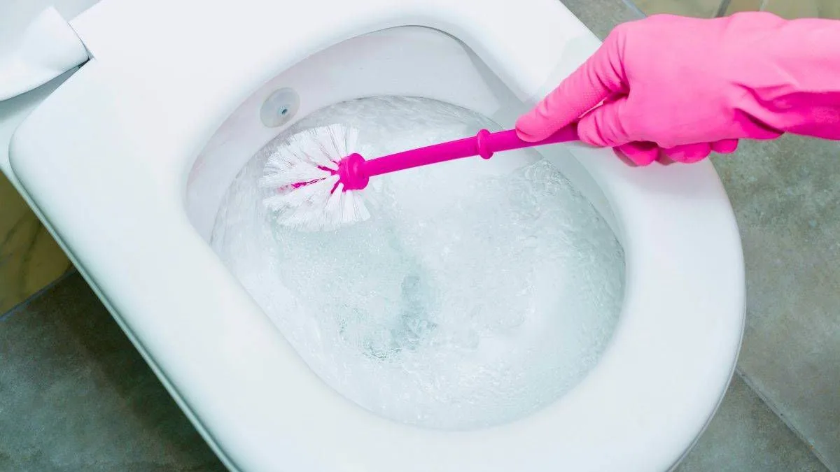 Ditch Bleach for Safer Toilet Cleaning, Experts Warn