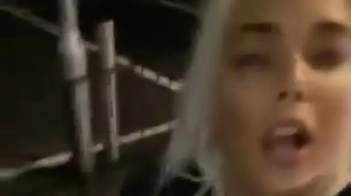 Drunk Woman Accidentally Takes Home Seagull with Bird Flu