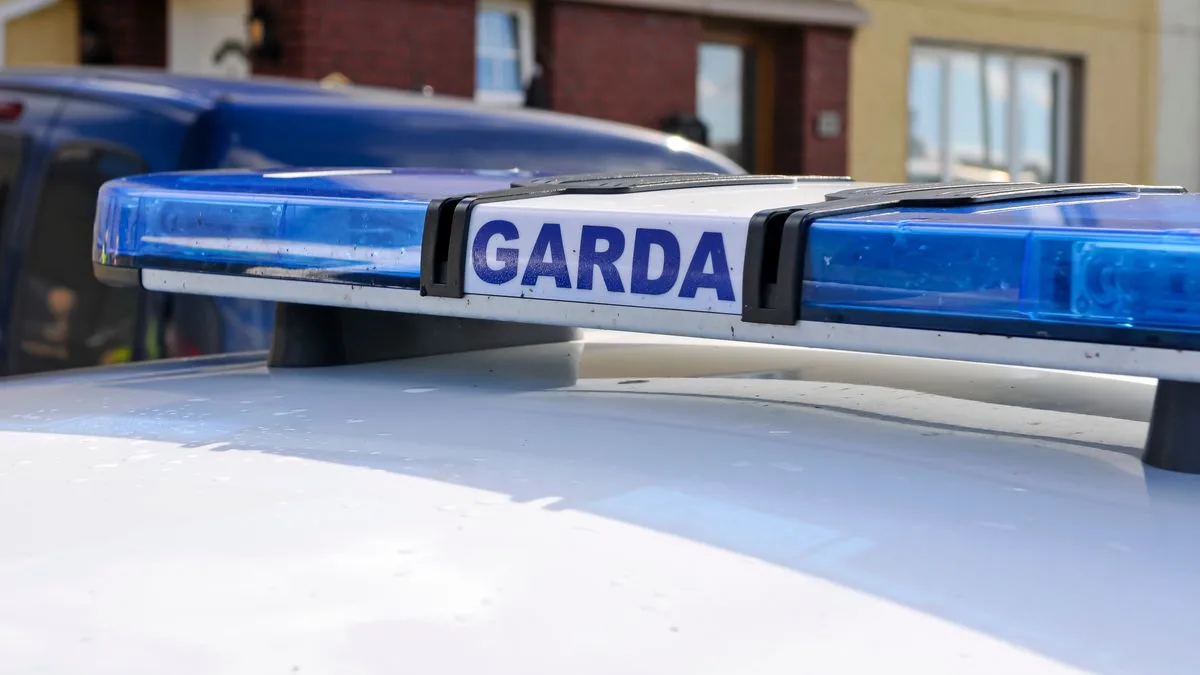 Suspect Arrested After Man Armed with Sword Knocks Down Garda with Vehicle in Dublin