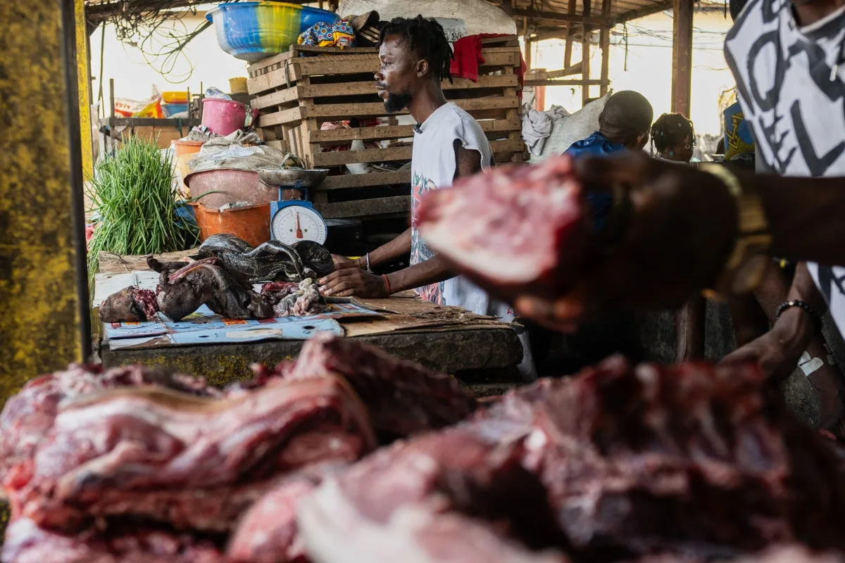 Ebola in Congo: Wild Meat Consumption Under Scrutiny