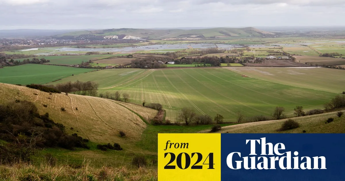 England's Biodiversity Net Gain Scheme Faces Delays Despite Promising Start
