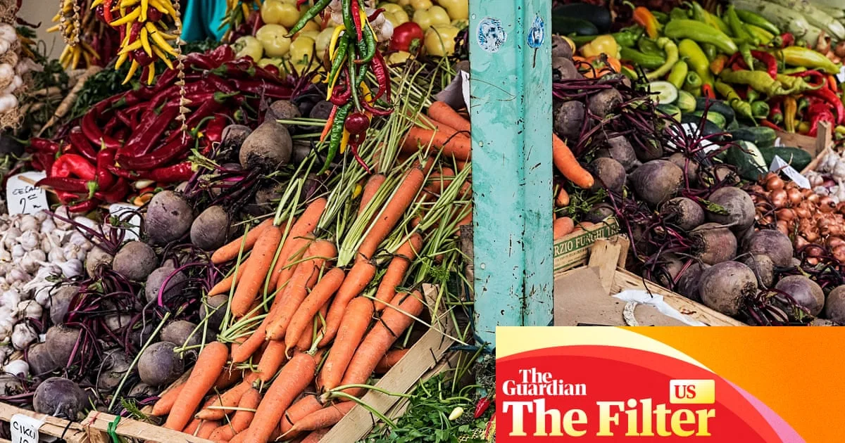Expert Tips for Navigating Farmers' Markets Like a Pro