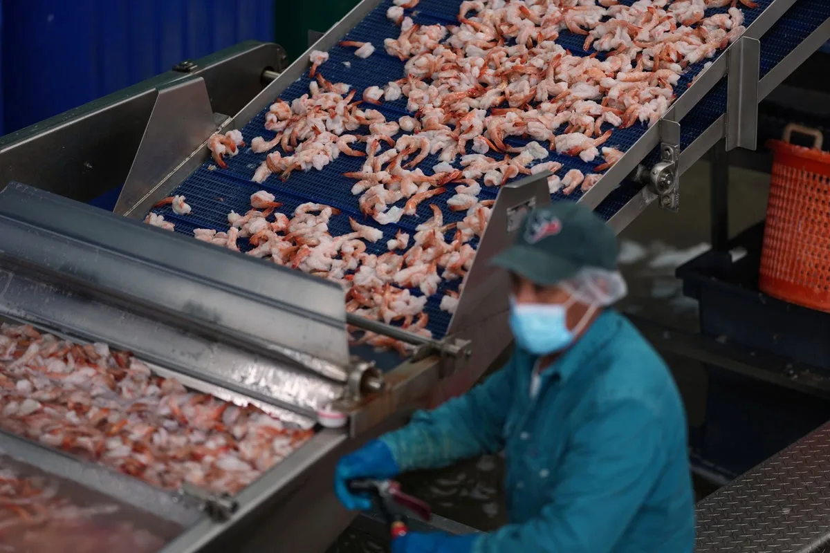 Further Shrimp Recall Over Possible Radioactive Contamination in UK Stores