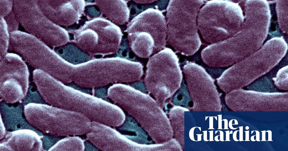 Louisiana Reports Five Deaths from Flesh-Eating Bacterium in Coastal Waters