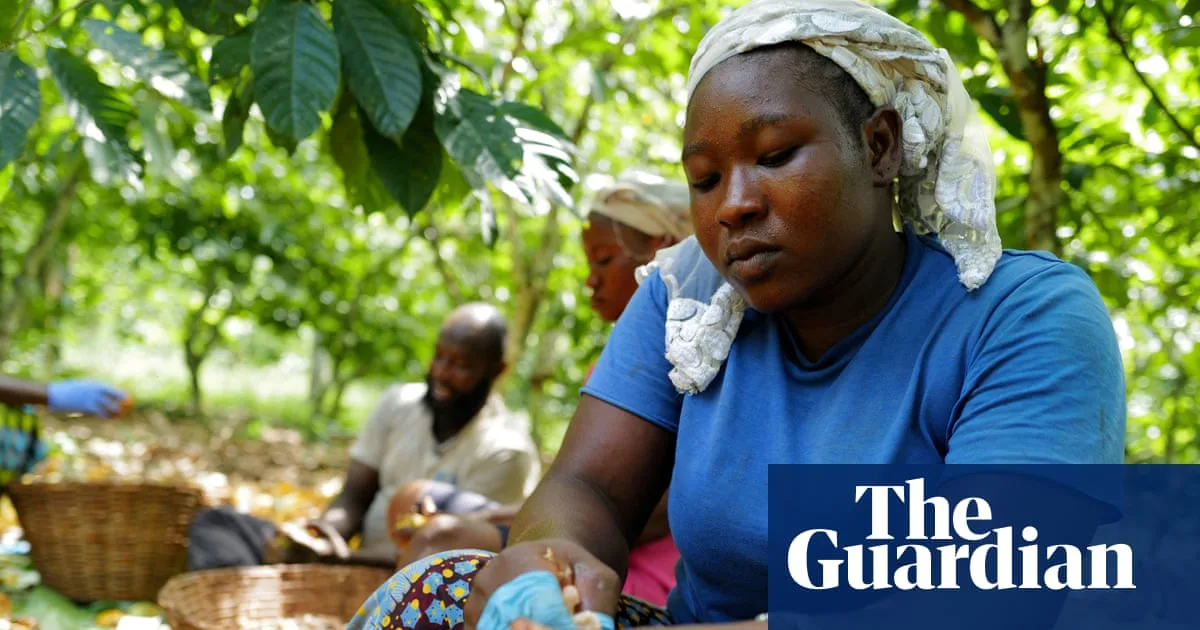 Climate-Driven Food Price Surges Threaten Global Stability, Report Warns