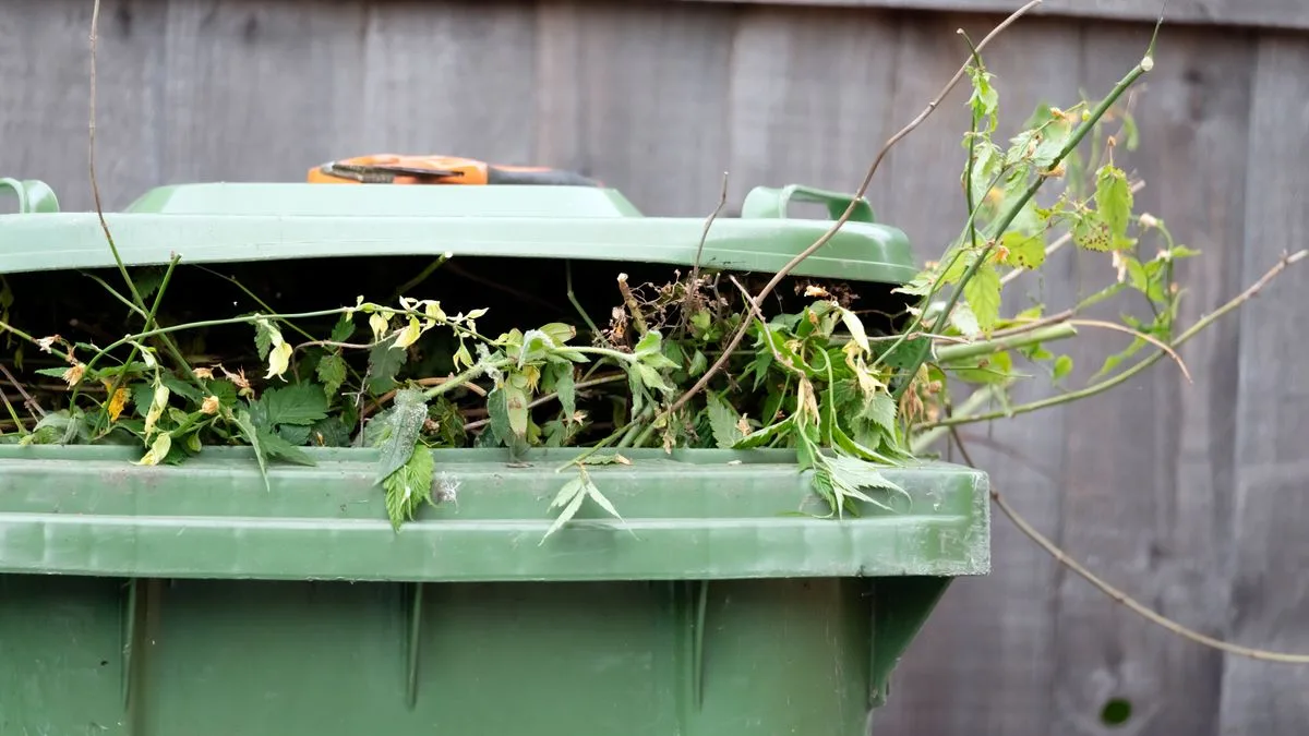 Garden Items No Longer Recyclable Under New Bin Rules