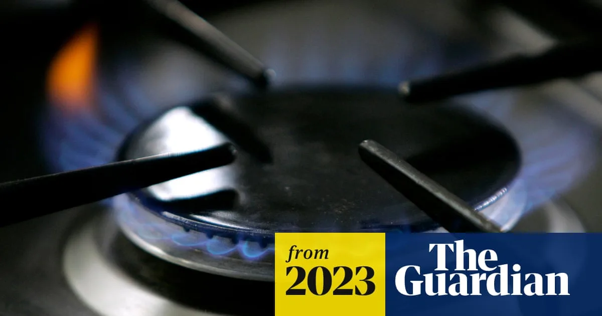 Gas Stoves Emit Cancer-Causing Benzene at Levels Above Secondhand Smoke, Study Finds
