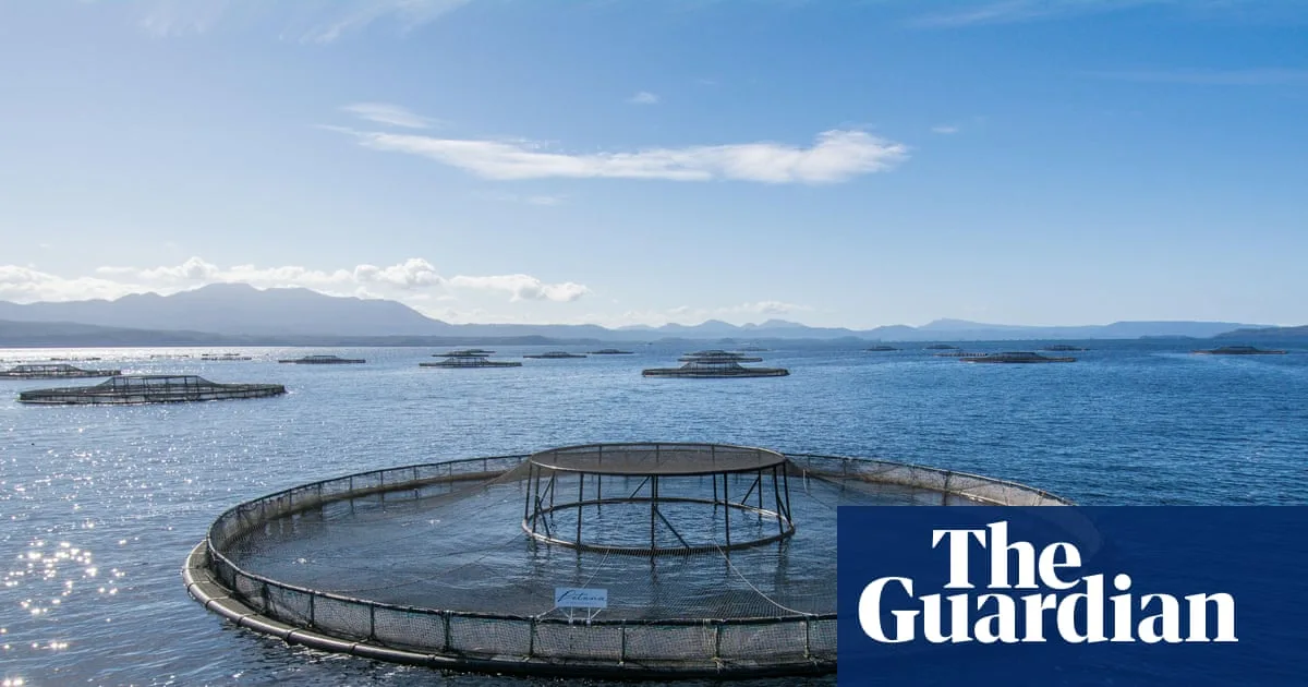 Albanese Government Rejected Advice on Salmon Farming Impact Before Passing Pro-Industry Laws