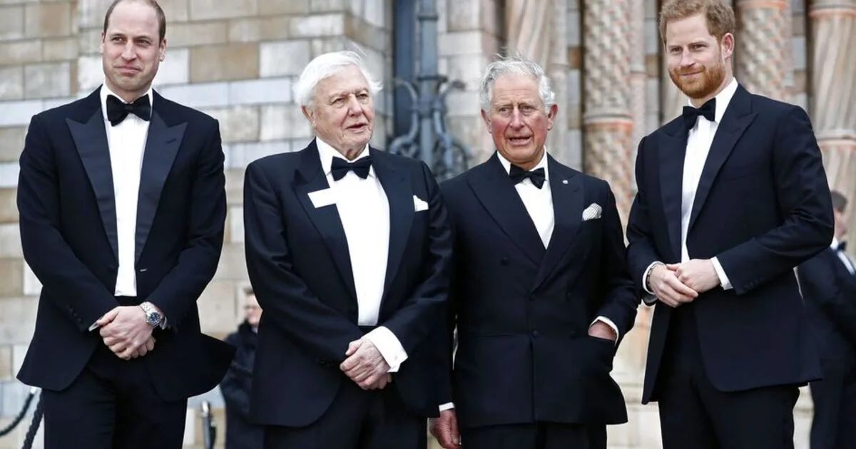 Harry Met with Brutal One-Word Response from William and Charles in Tense Chat