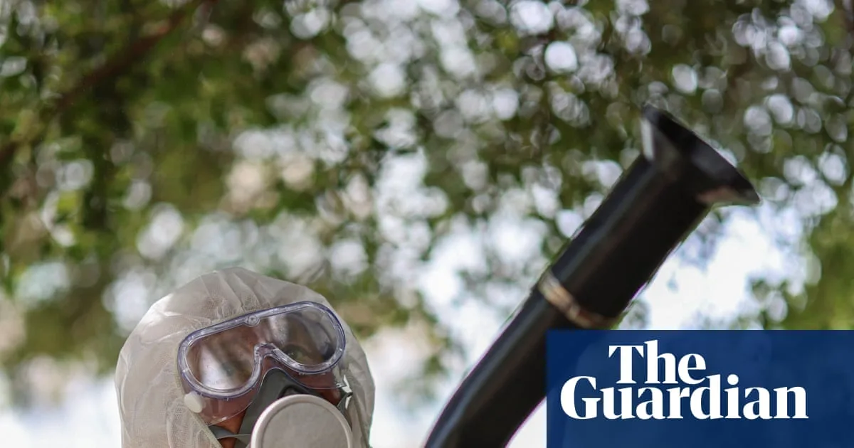 Tropical Chikungunya Virus Now a Threat Across Most of Europe, Study Warns
