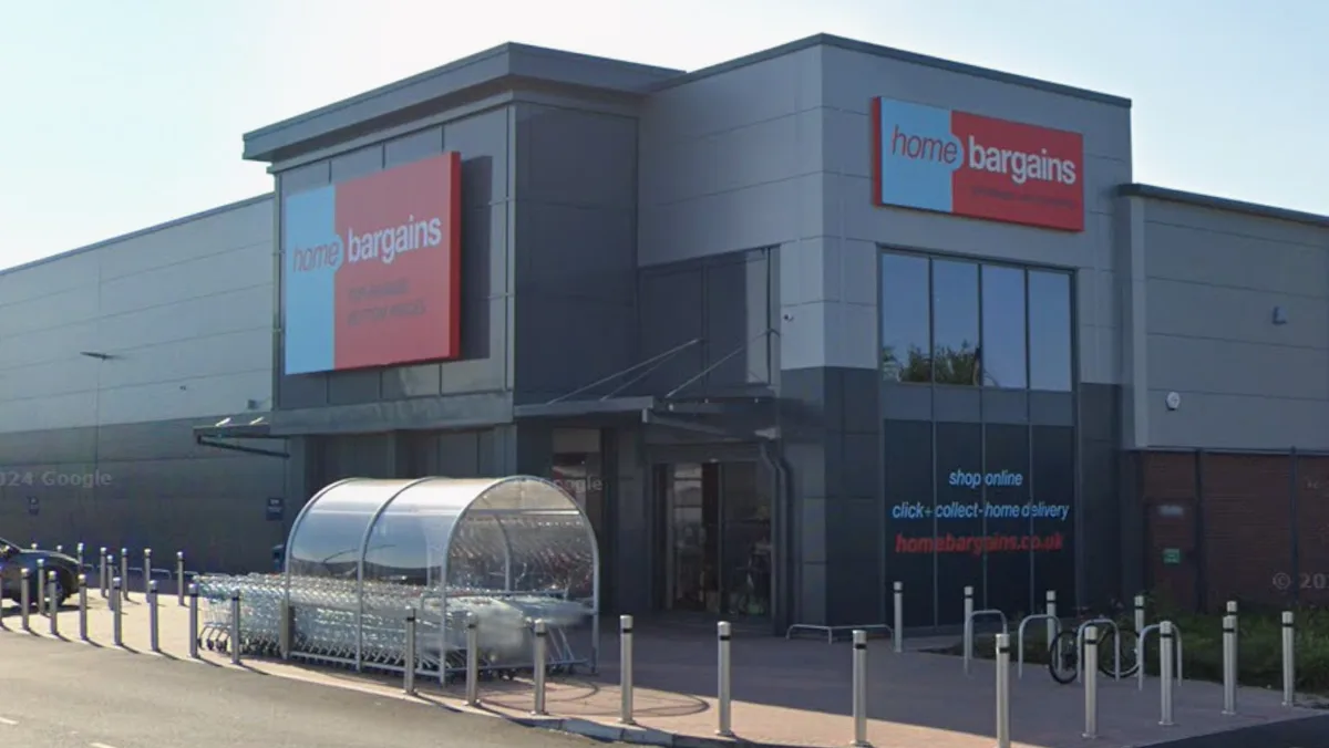 Home Bargains £4.99 Plant Pot 'Lasts Season After Season'