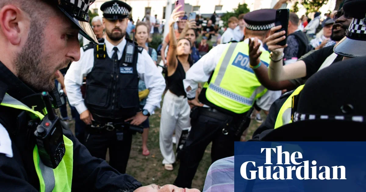 Half of arrests at Palestine Action protest aged 60 or over, police data shows