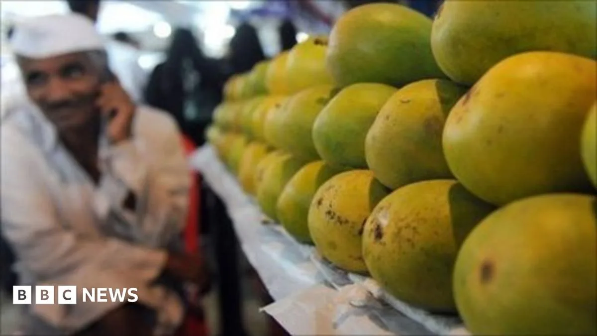 India's Alphonso Mango Crop Devastated by Extreme Weather