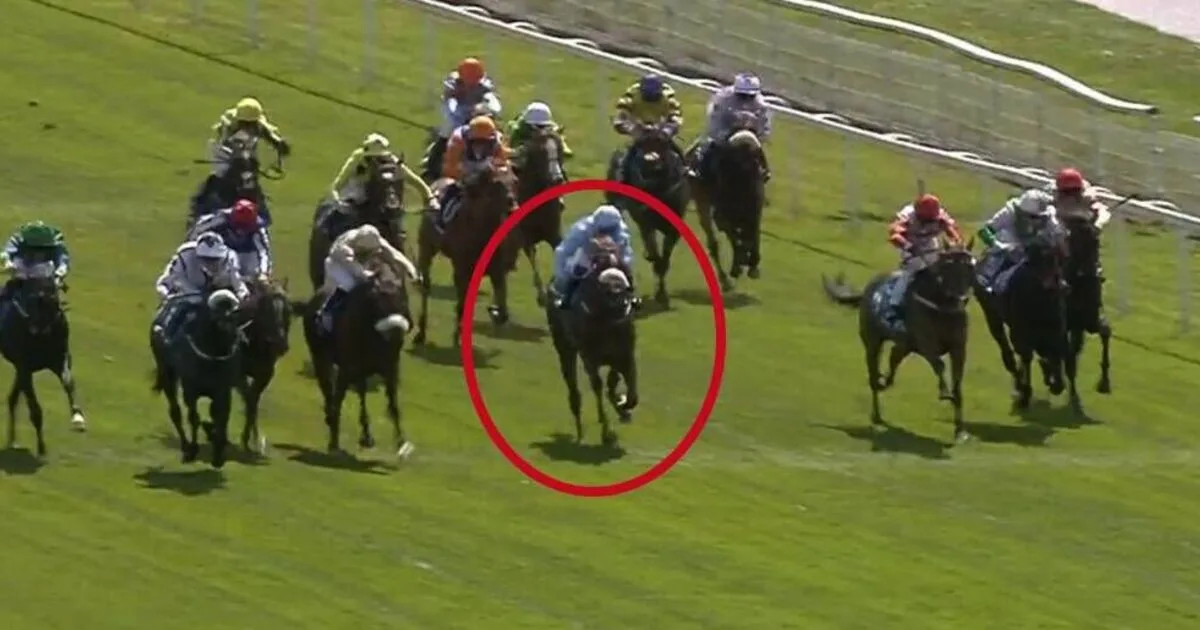 Jockey Banned for 12 Months After Shocking Race Incident