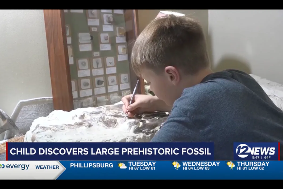 Kansas boy, 12, discovers 80-million-year-old marine fossil