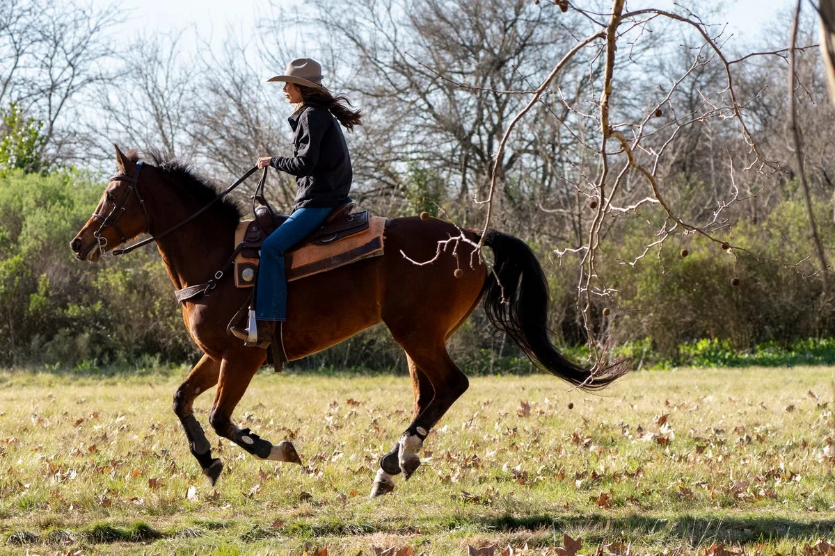 Kristi Noem criticised for wearing cowboy gear on Argentina visit