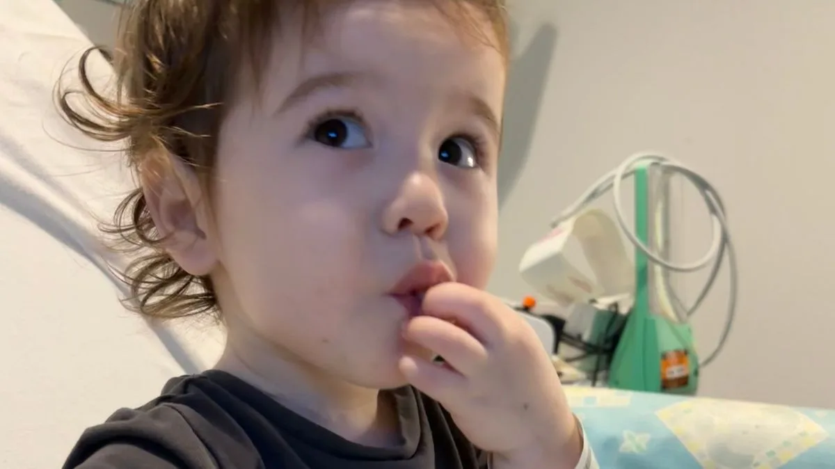 Lab-grown pig tissue could offer new oesophagus for babies within five years