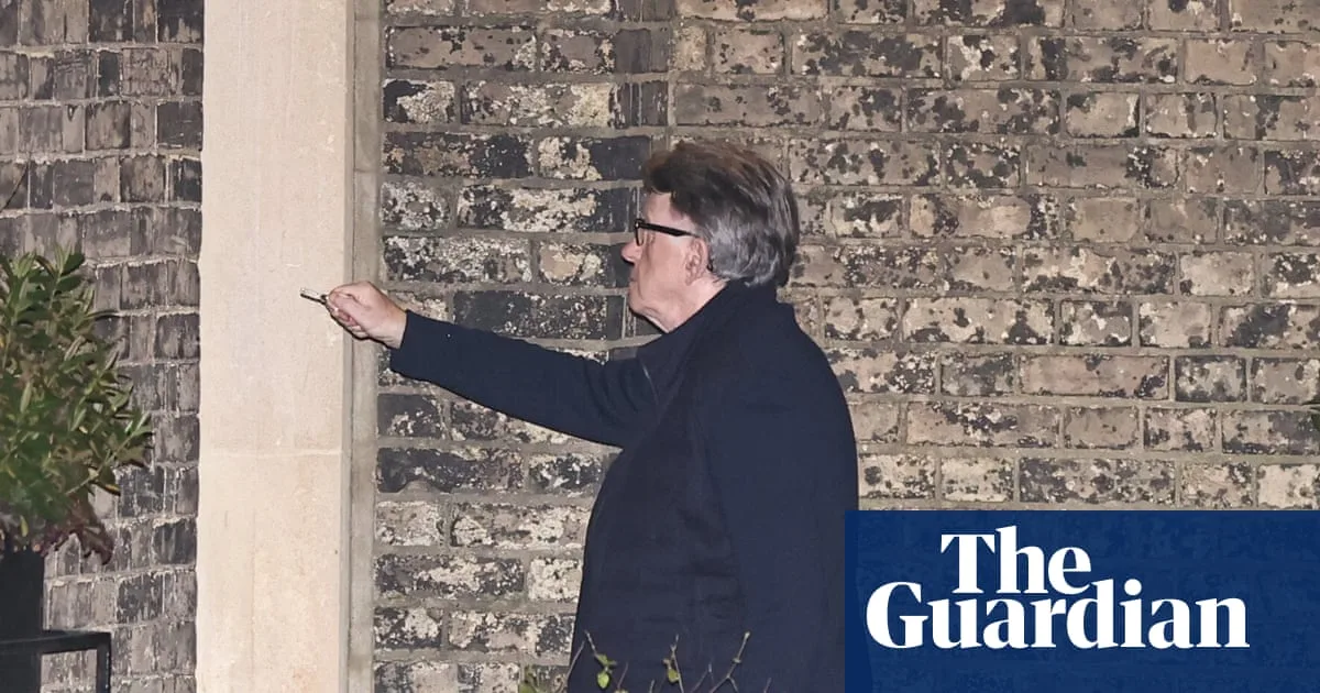 Peter Mandelson Released on Bail After Arrest Over Epstein Leak Claims