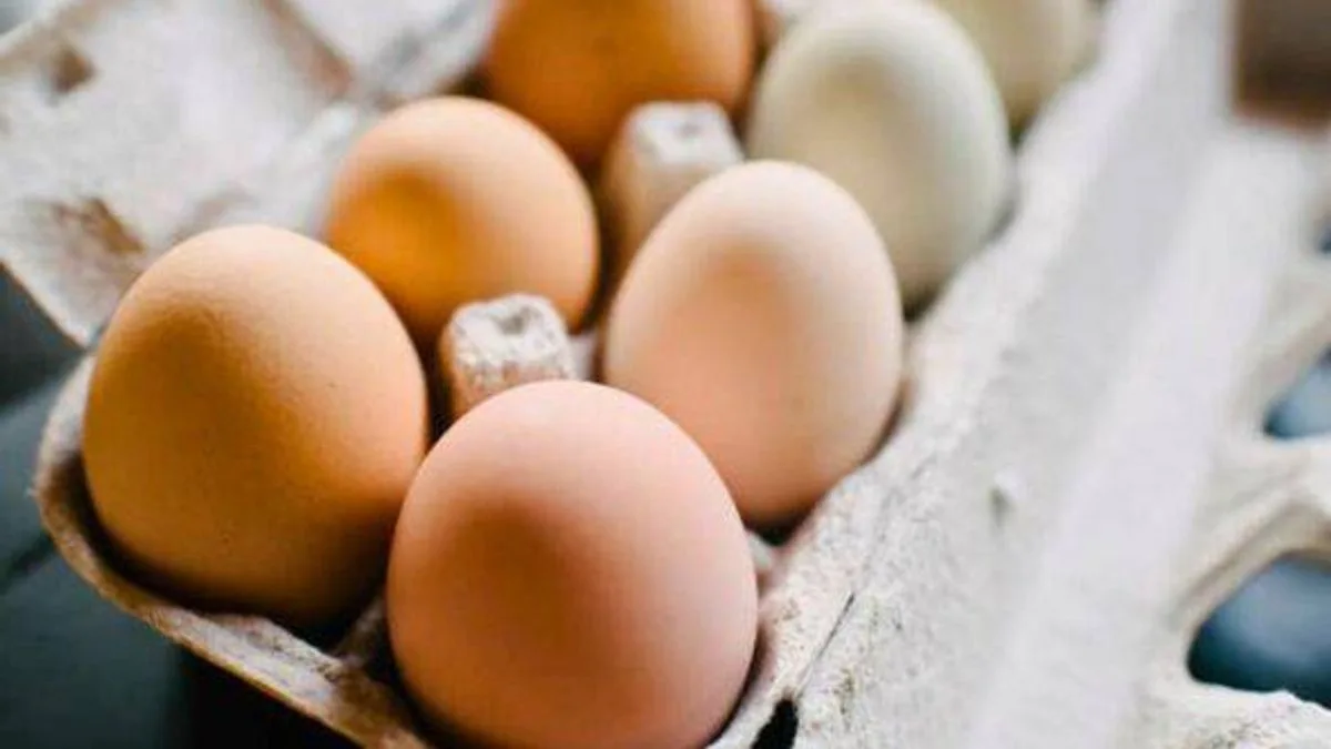 Mary Berry Settles Egg Storage Debate: Fridge Is Best