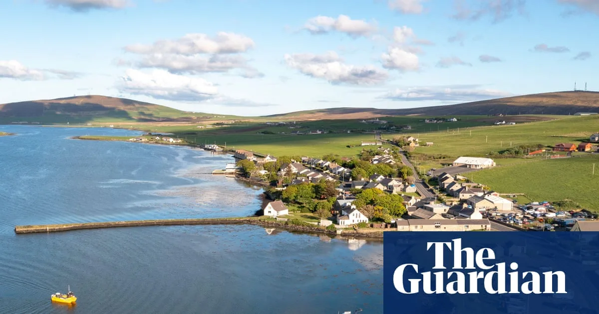 More Than 15m Oysters to Be Released in North Sea for UK Rewilding Project