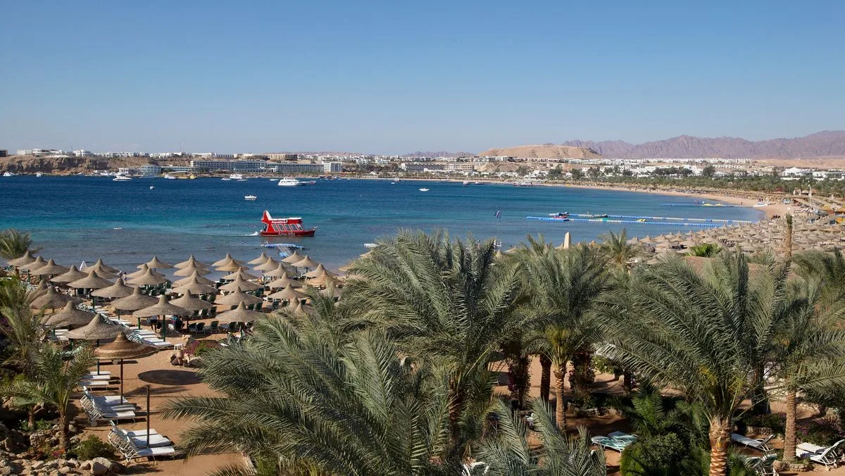Middle East Conflict Triggers Holiday Booking Collapse