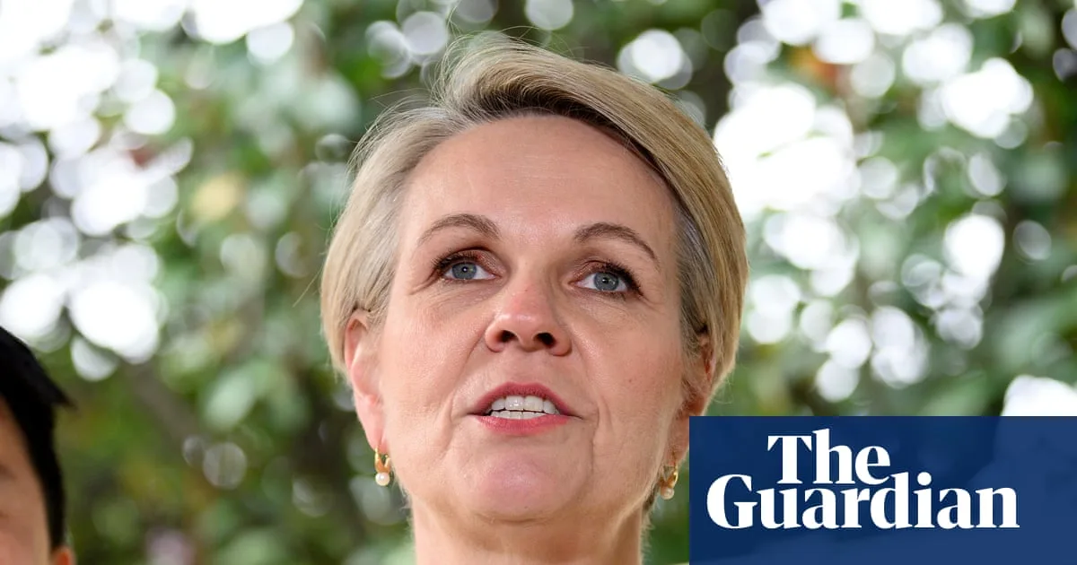 Minister Slams Police Failures in Queensland Domestic Violence Deaths