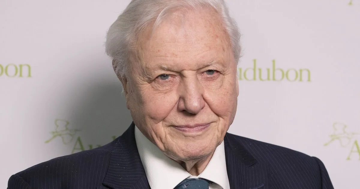 Widow Scammed Out of £12k by Fraudster Posing as Sir David Attenborough