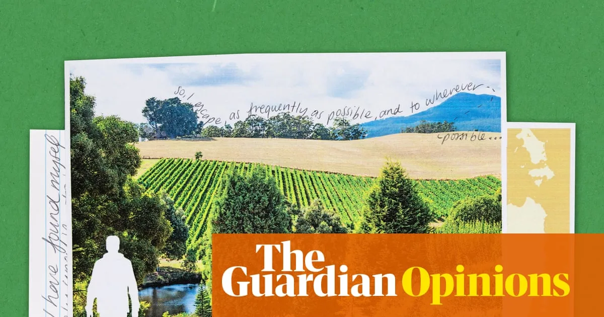 Mount Arthur's Quiet Truth: Nature As Our Kin