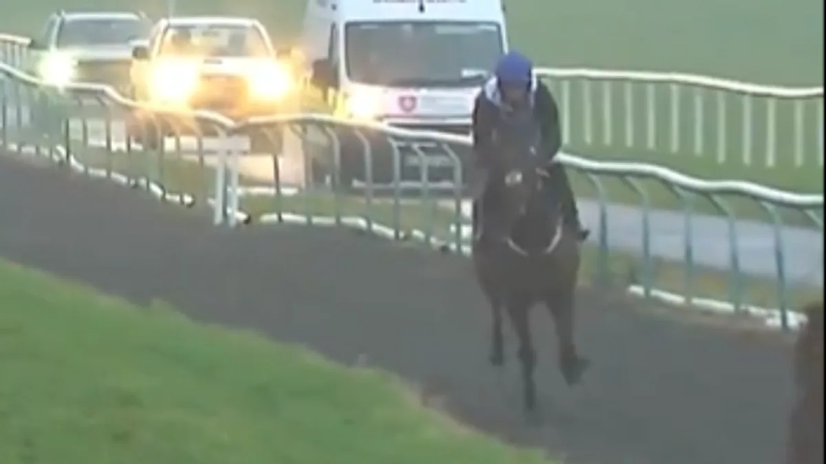 Patrick Mullins' Clever Track Tactic Wins 14-1 Race At Limerick