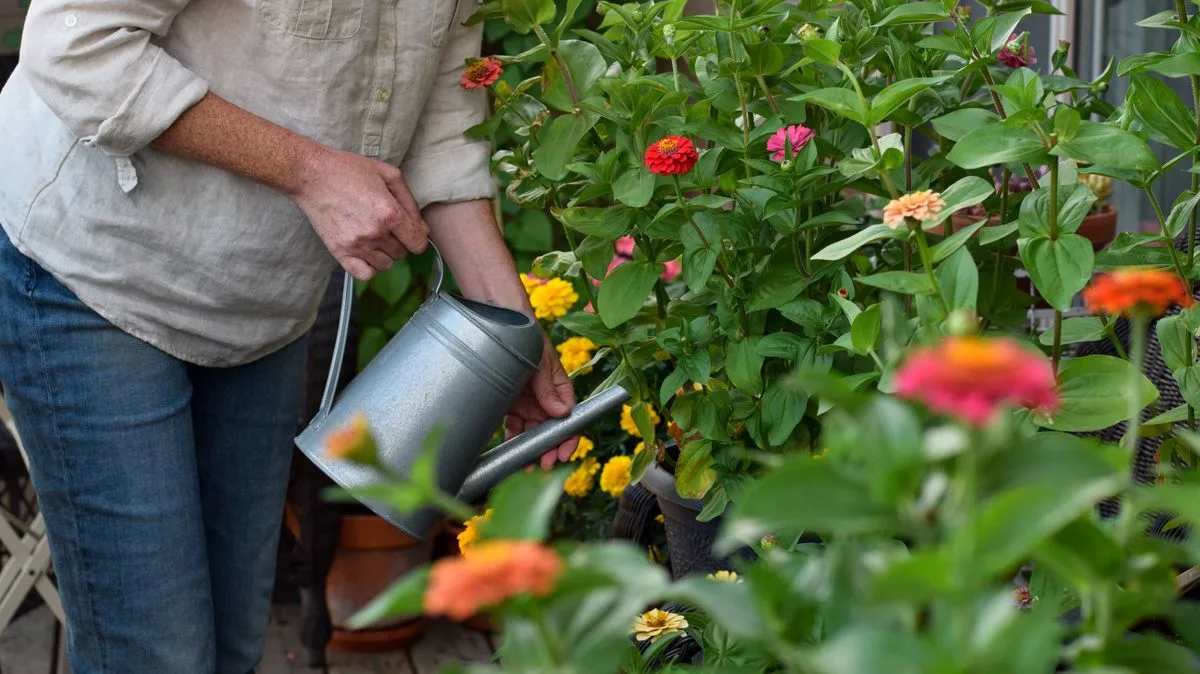 Gardener’s mushroom water hack to rescue wilting plants during UK mini-heatwave