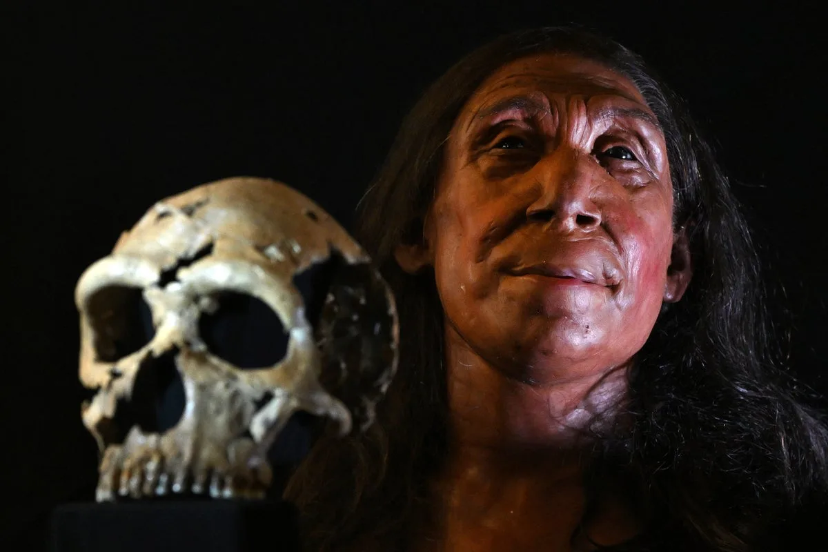 Neanderthals Hunted Giant Elephants Across Europe