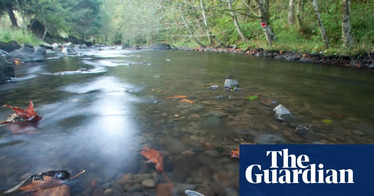 US Judge Orders Hydropower Changes to Protect Salmon After Trump Abandons Deal