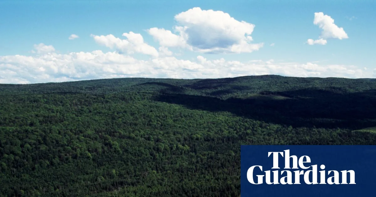 Nova Scotia's Woodland Ban Ruled Unconstitutional in Landmark Case