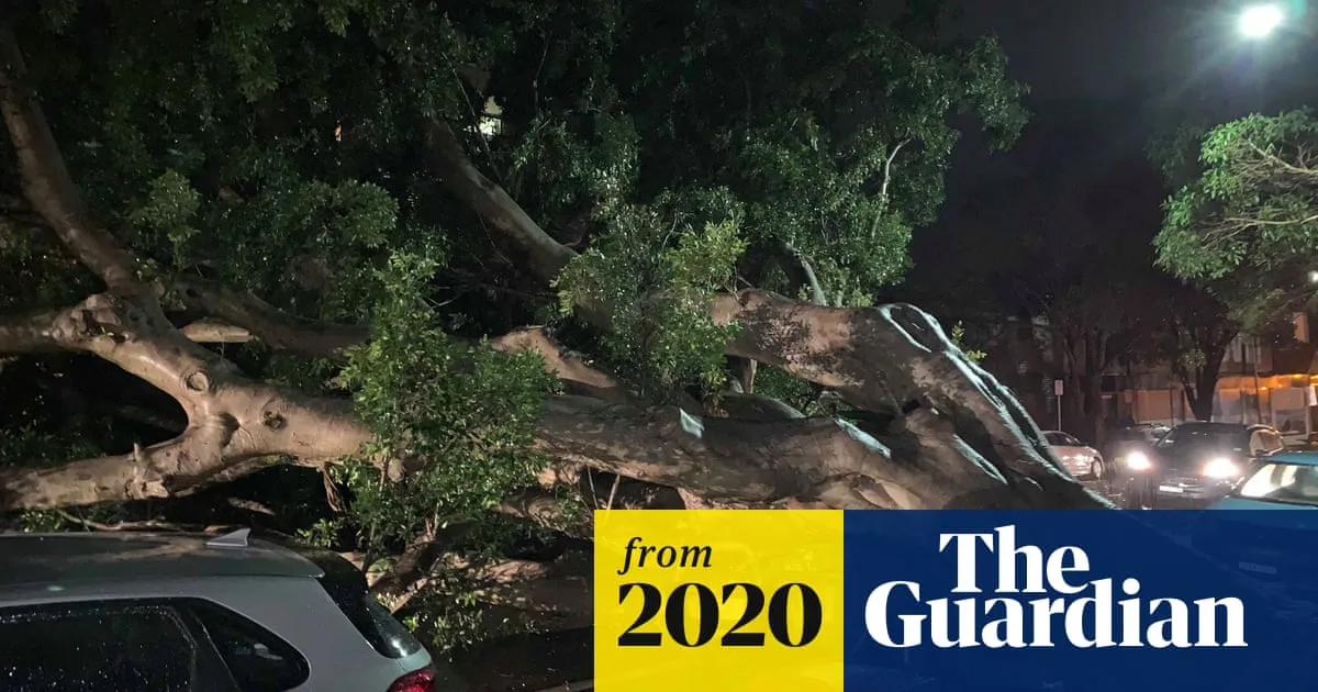 Man Killed by Flying Gas Bottle as Storms Batter NSW