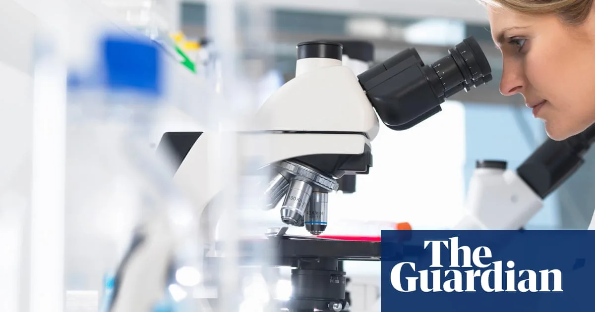AI Colour Tool Could Speed Up Coeliac Disease Diagnosis
