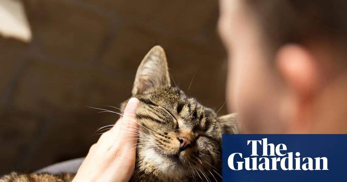 Grief Over Pet Death Can Match Human Bereavement, Study Finds
